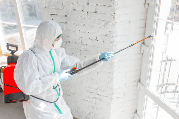 Why You Should Choose Our Mold Remediation Services in Ben Avon, PA